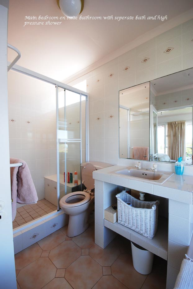 main bathroom2